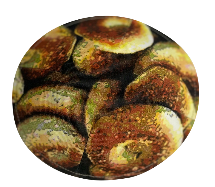 Cotton Bagels